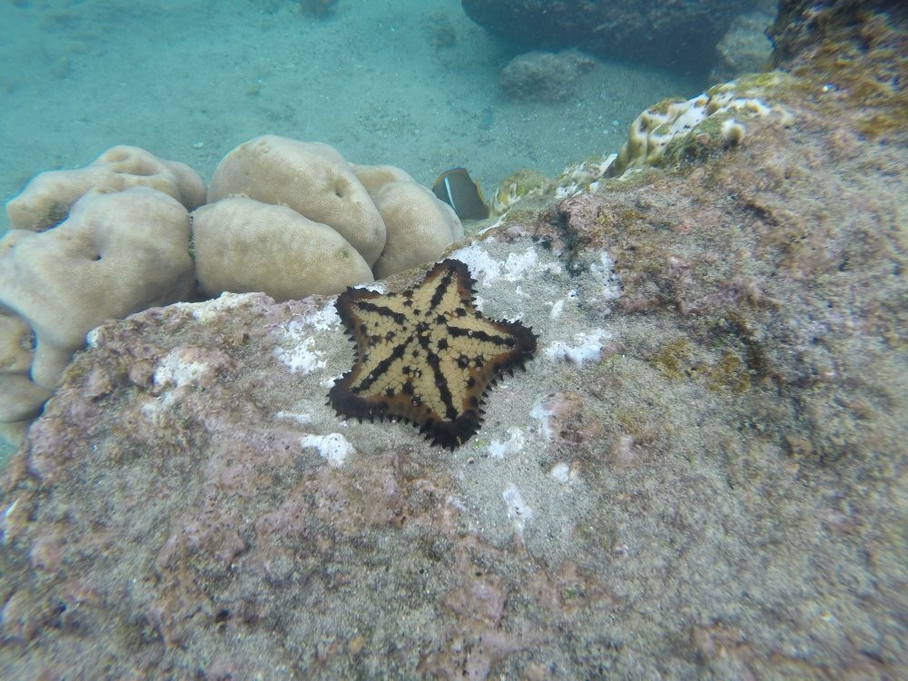 My Tour Galapagos-Bartolome必去景点