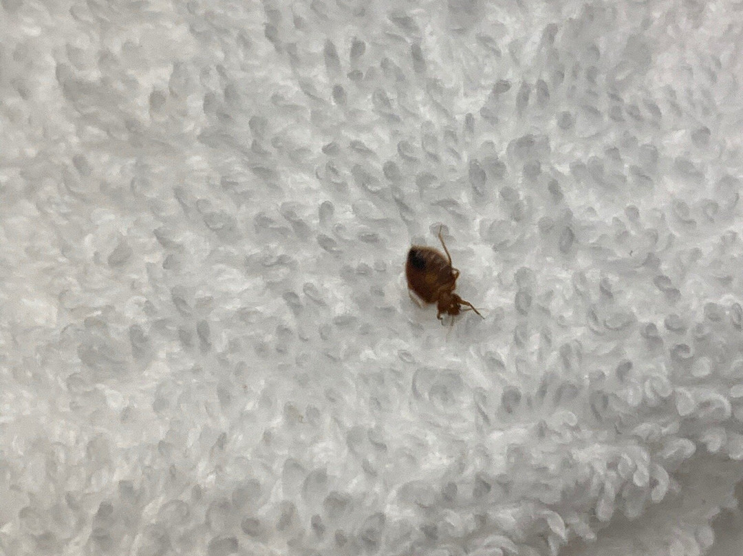 Sleep Inn Fayetteville I-95主图