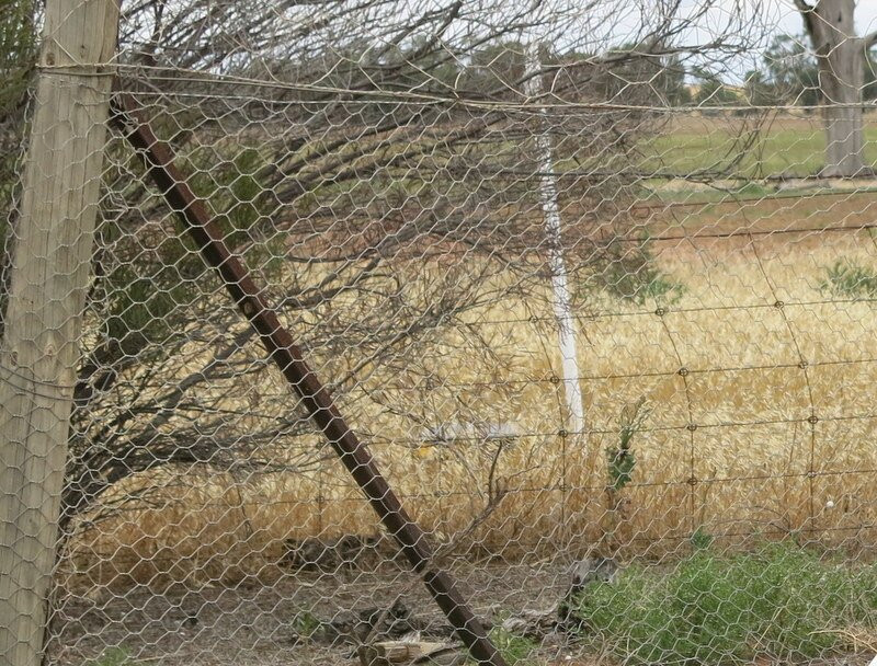 Dog Netting Fence Monument