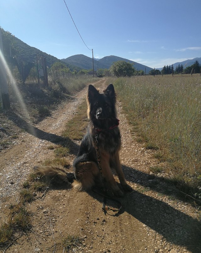 La Collina di Peppino主图