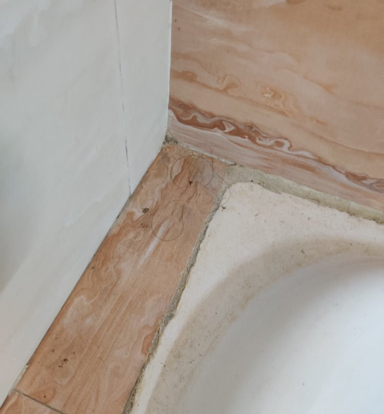 Aaram Baagh Resort主图