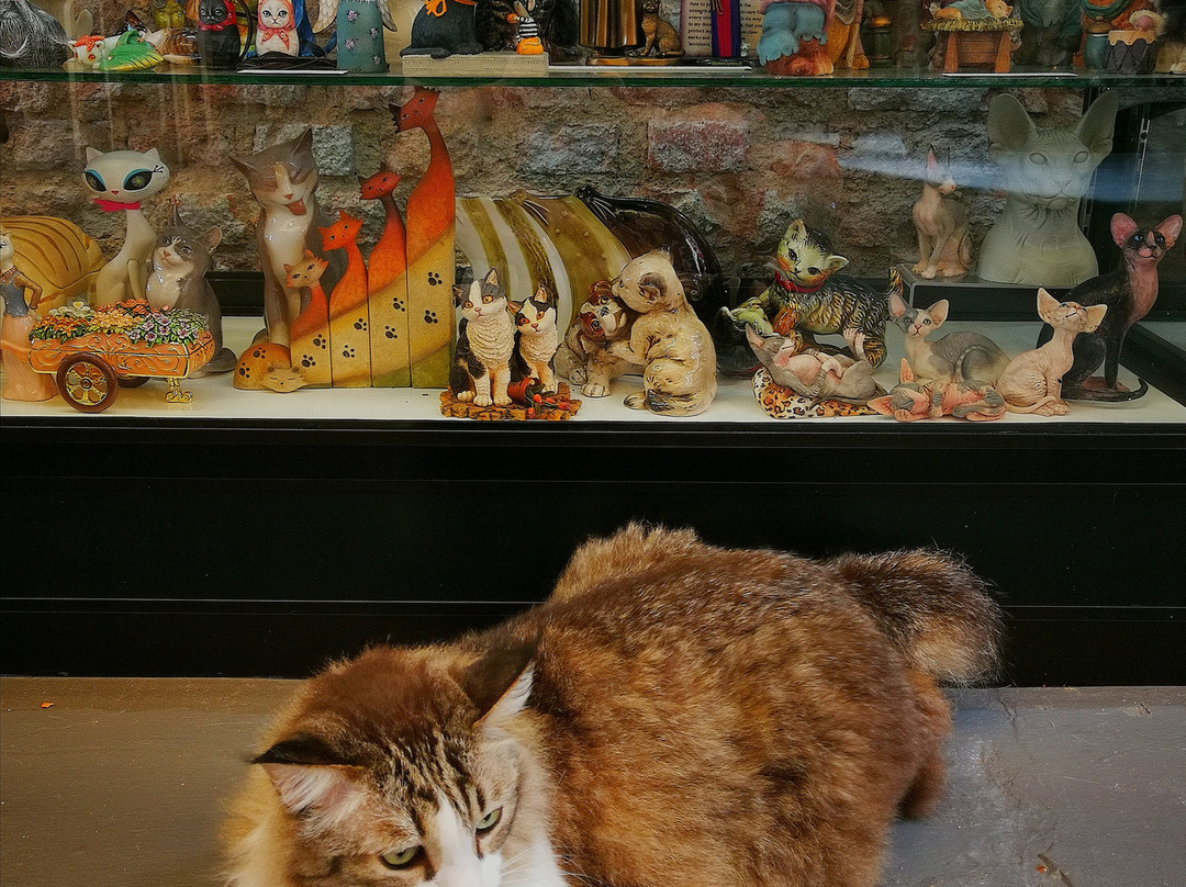 Meowseum Museum of Cat Art & Craft-乔治城必去景点