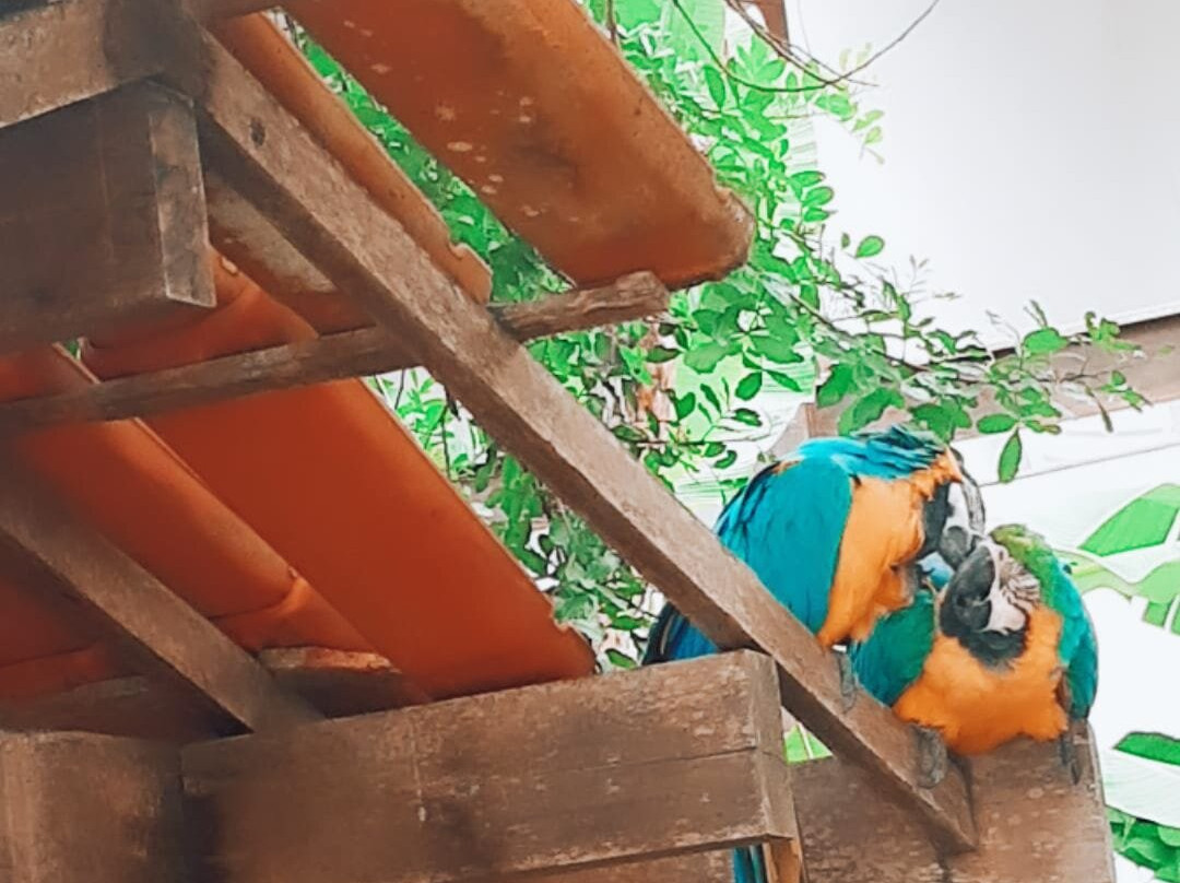 Hotel La Dolce Vita主图