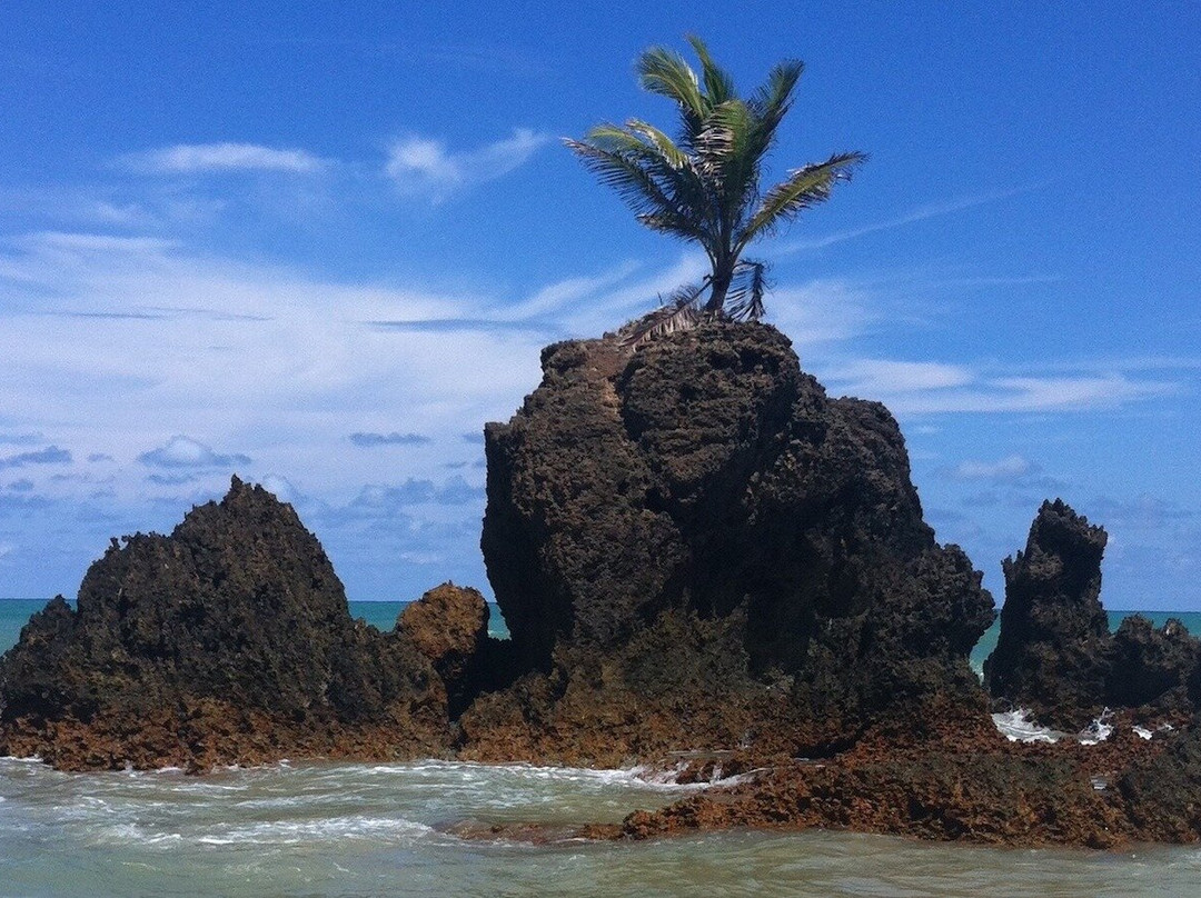 Jampa Receptivo-Joao Pessoa必去景点