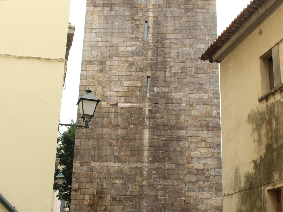 Torre de Menagem景点图片