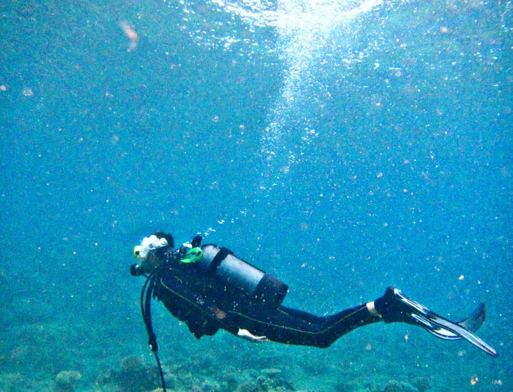 Aqualagoon景点图片