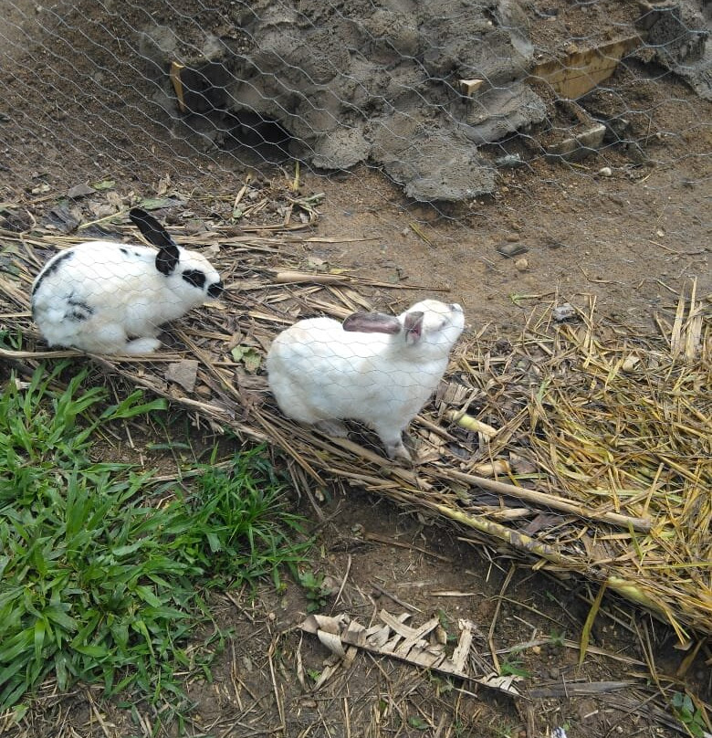 Bamah-Guaduas必去景点