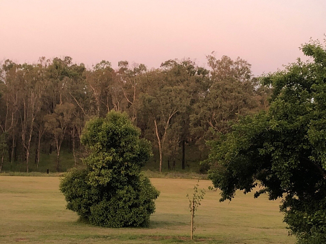 Warrumbungles Mountain Motel主图