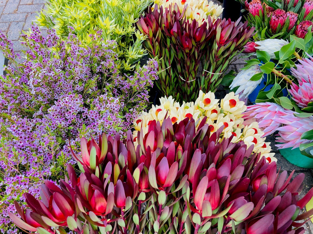 Adelaide Showground Farmers' Market景点图片