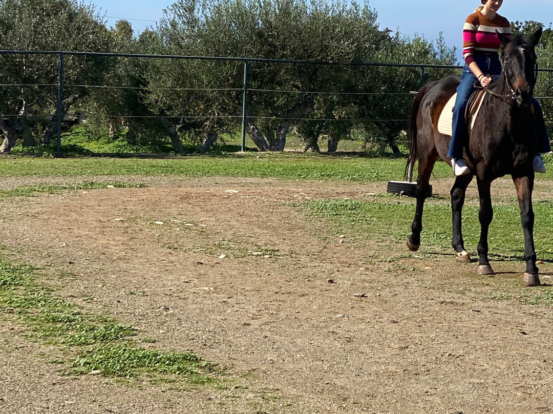 Mani Horses景点图片