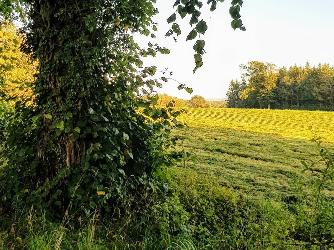 Hurst Green and the Hodder景点图片