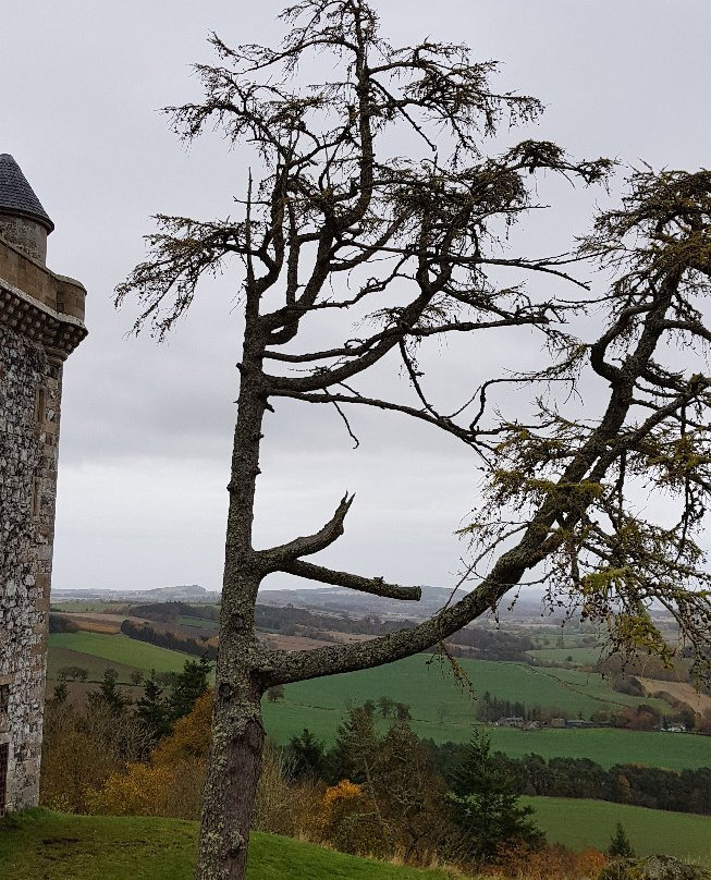 Fatlips Castle-Hawick必去景点