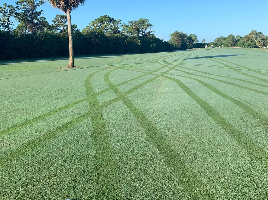 Myakka Pines Golf Club-恩格尔伍德必去景点