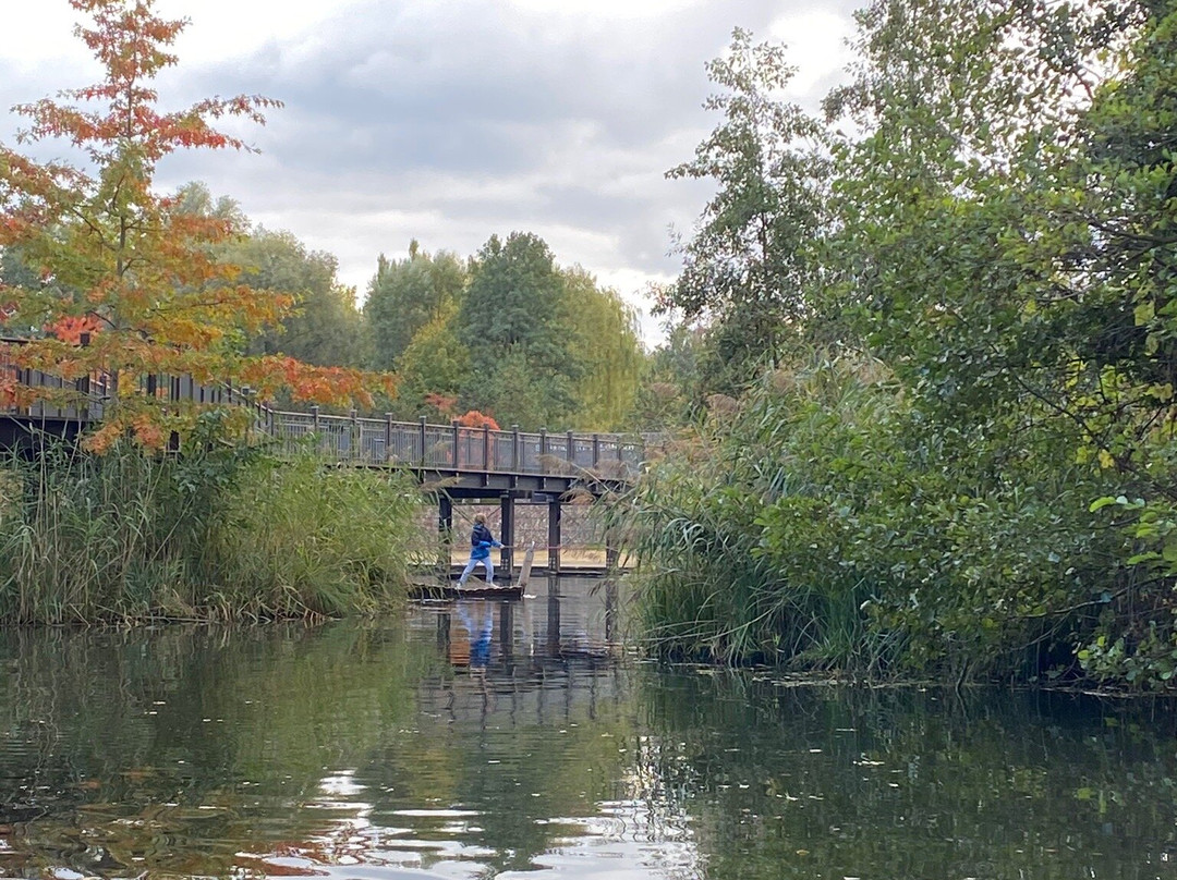 Kahnfahrten im Spreewald景点图片