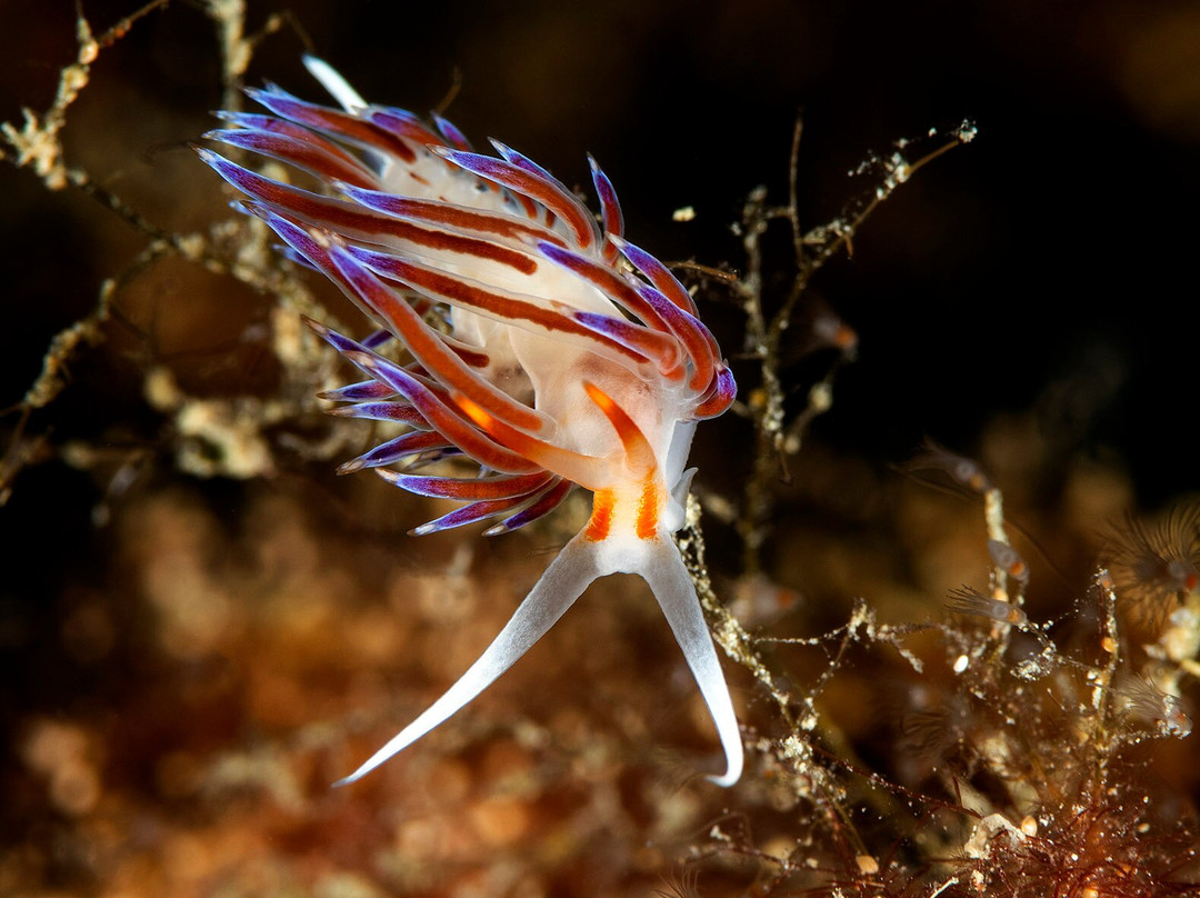 Gozo Aqua Sports-Marsalforn必去景点