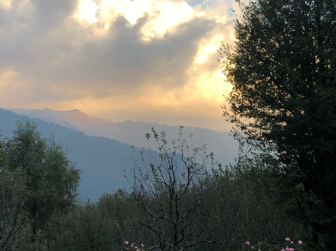 The Lama House主图