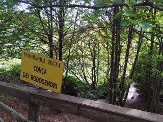 Conca dei Rododendri景点图片