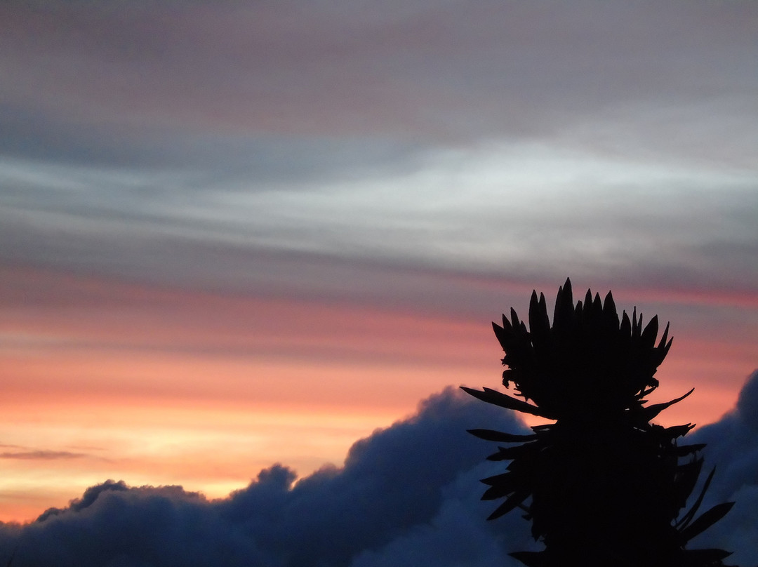 Ibague Extremo-Ibague必去景点