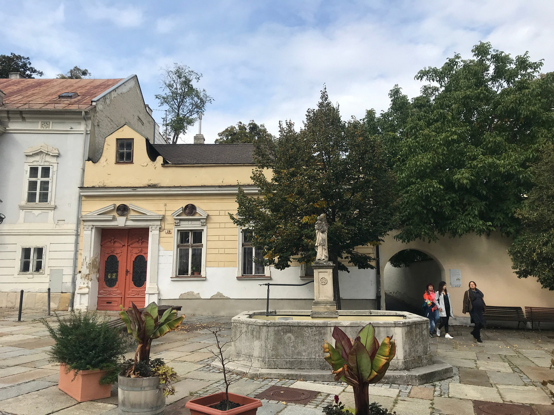Franziskaner Kirche-铁城必去景点