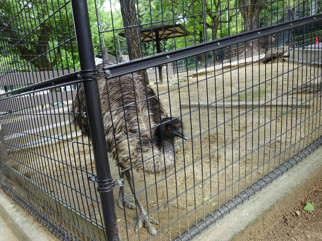 Satsukiyama Zoo-池田市必去景点