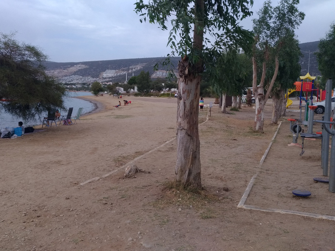 Akbuk Plajı景点图片