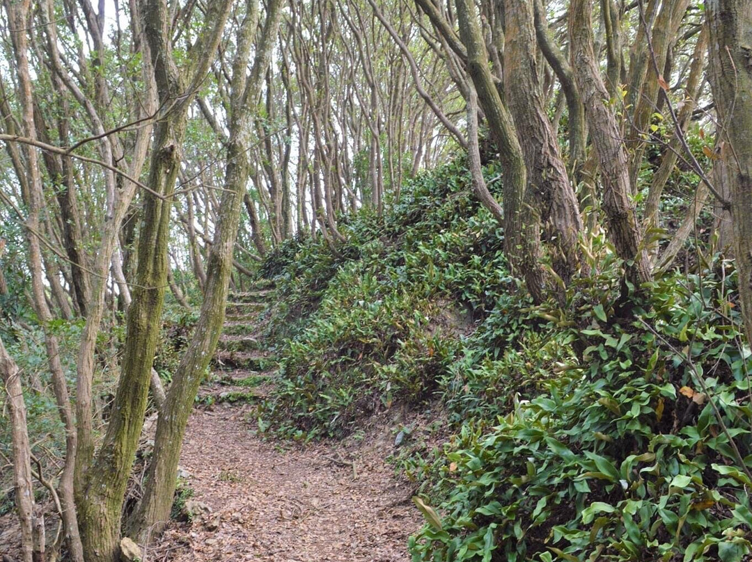 Tsurumizaki Panorama Lookout-佐伯市必去景点