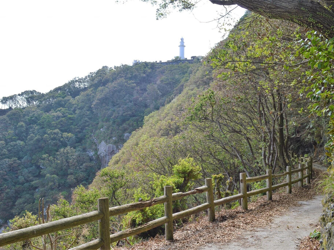 Tsurumizaki Panorama Lookout-佐伯市必去景点