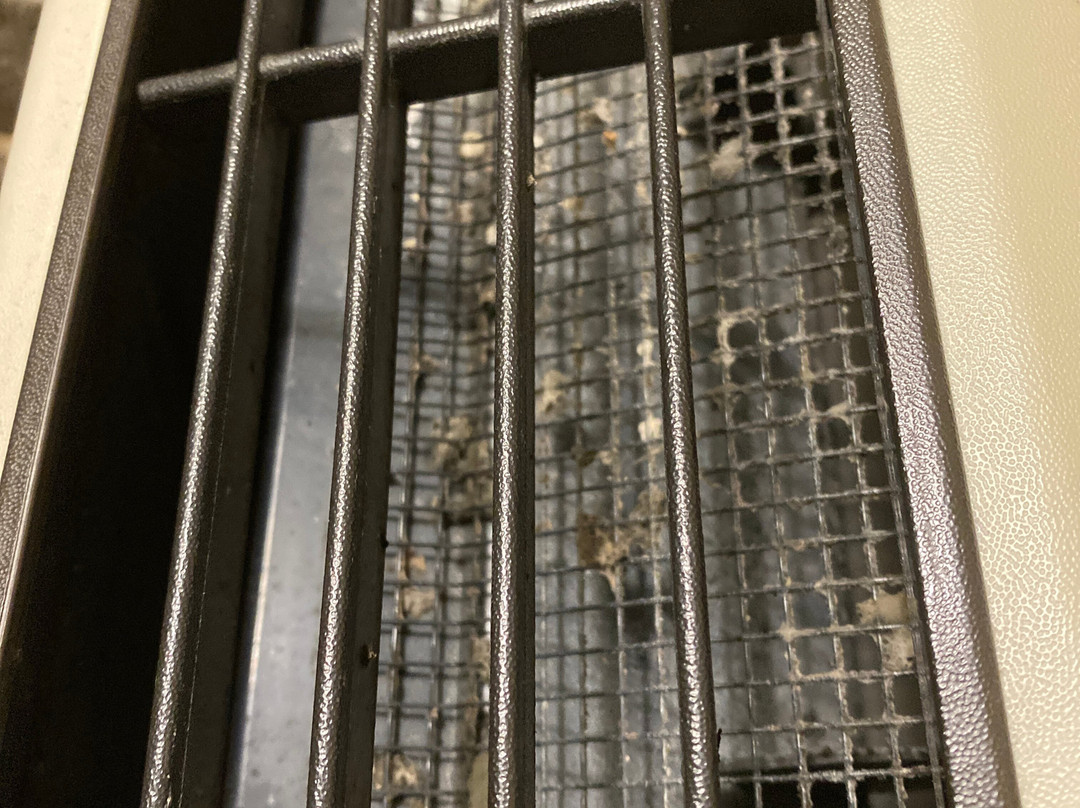 Holiday Inn Express Marshfield (springfield Area) By IHG主图