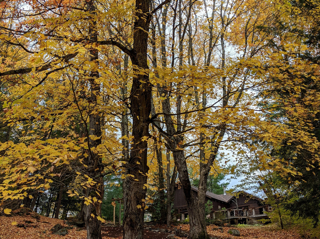 Black River Retreat主图