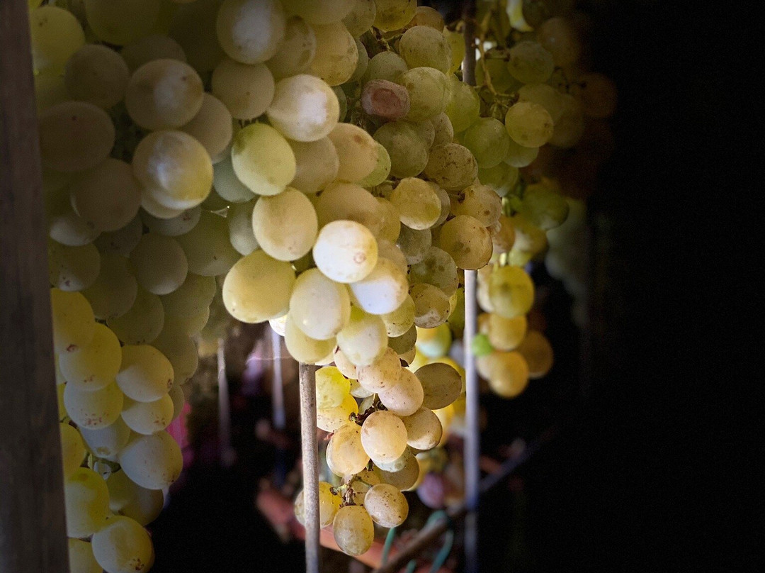 Podere La Regola景点图片