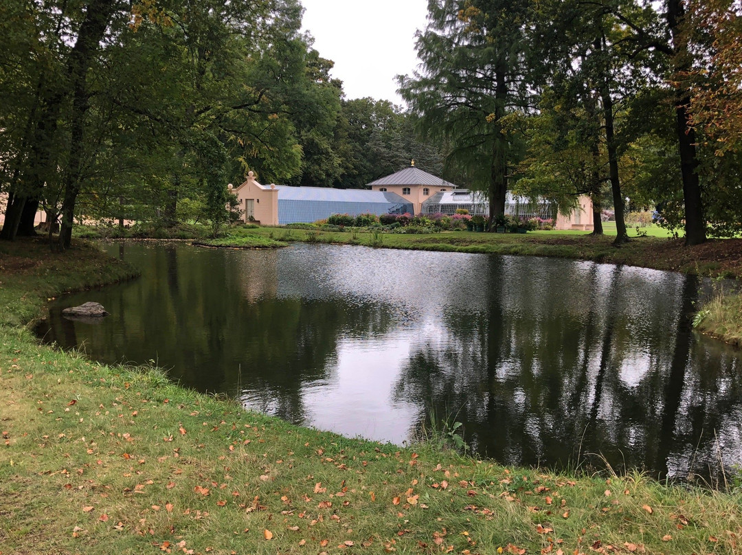 Puecklerpark Branitz-Cottbus必去景点