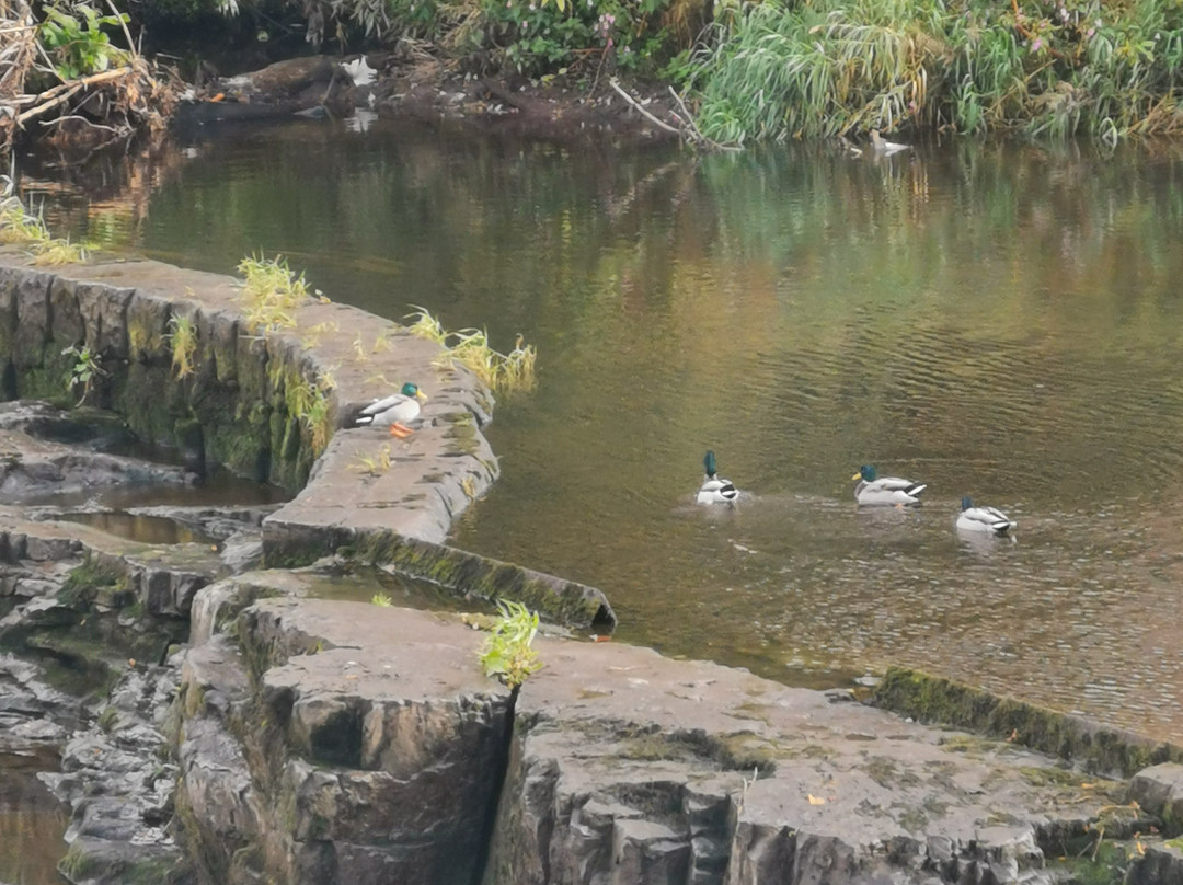 The Watermill Hotel主图