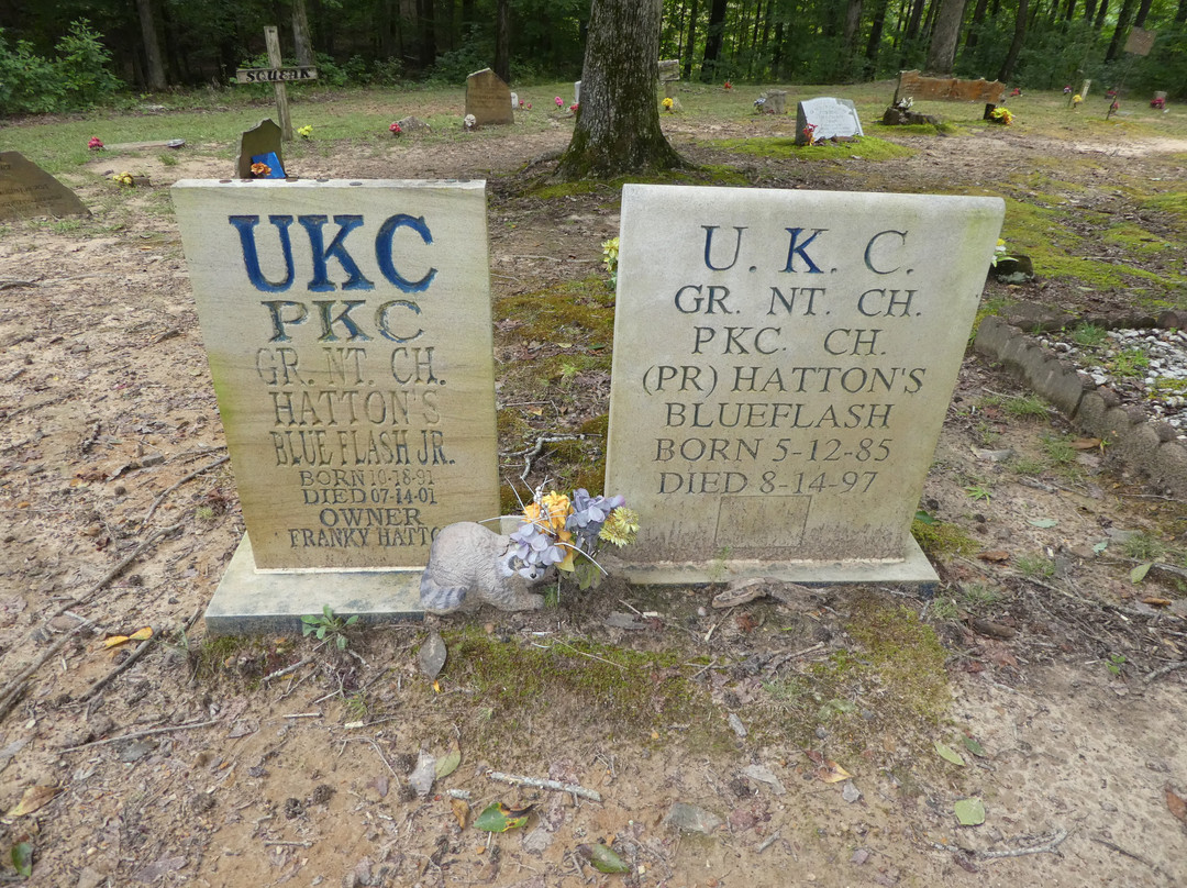 Coon Dog Cemetery-Cherokee必去景点