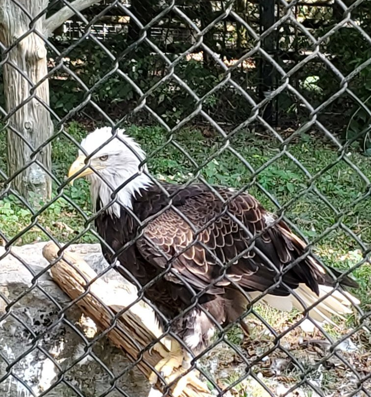 Land Between The Lakes National Recreation Area-Golden Pond必去景点