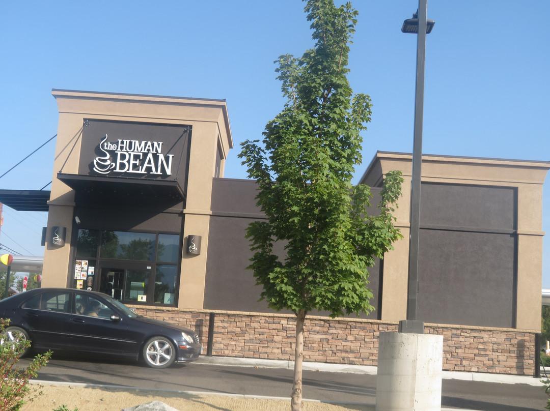 Human Bean of Minden