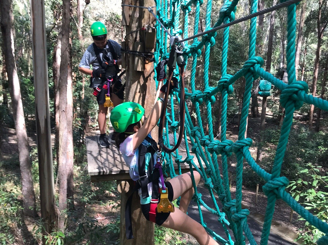 Treetop Challenge-可伦宾必去景点