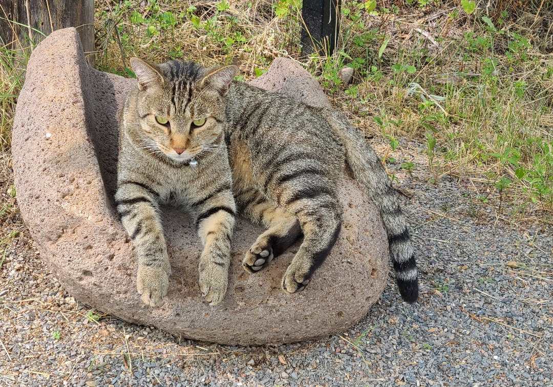 Mimbres Culture Heritage Site-Mimbres必去景点