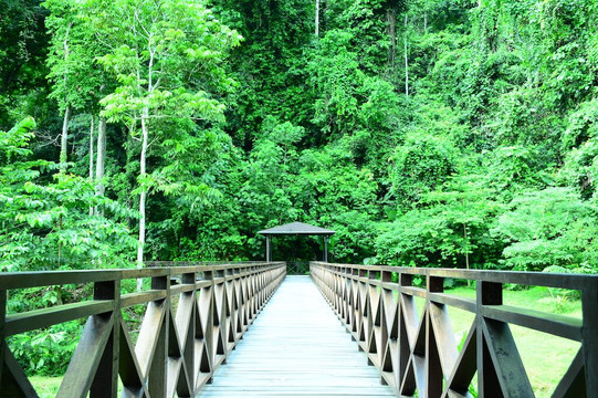 Kawag Nature Lodge主图