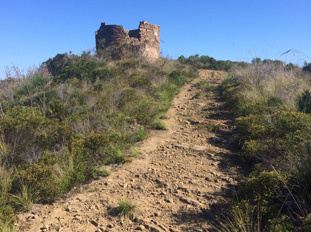 Torri Costiere di Castellabate景点图片