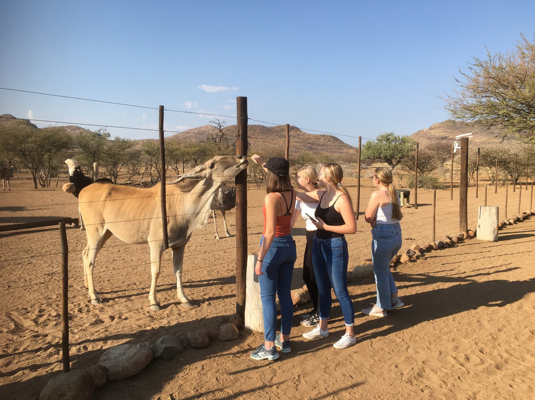 Koedoeberg Guest Farm主图