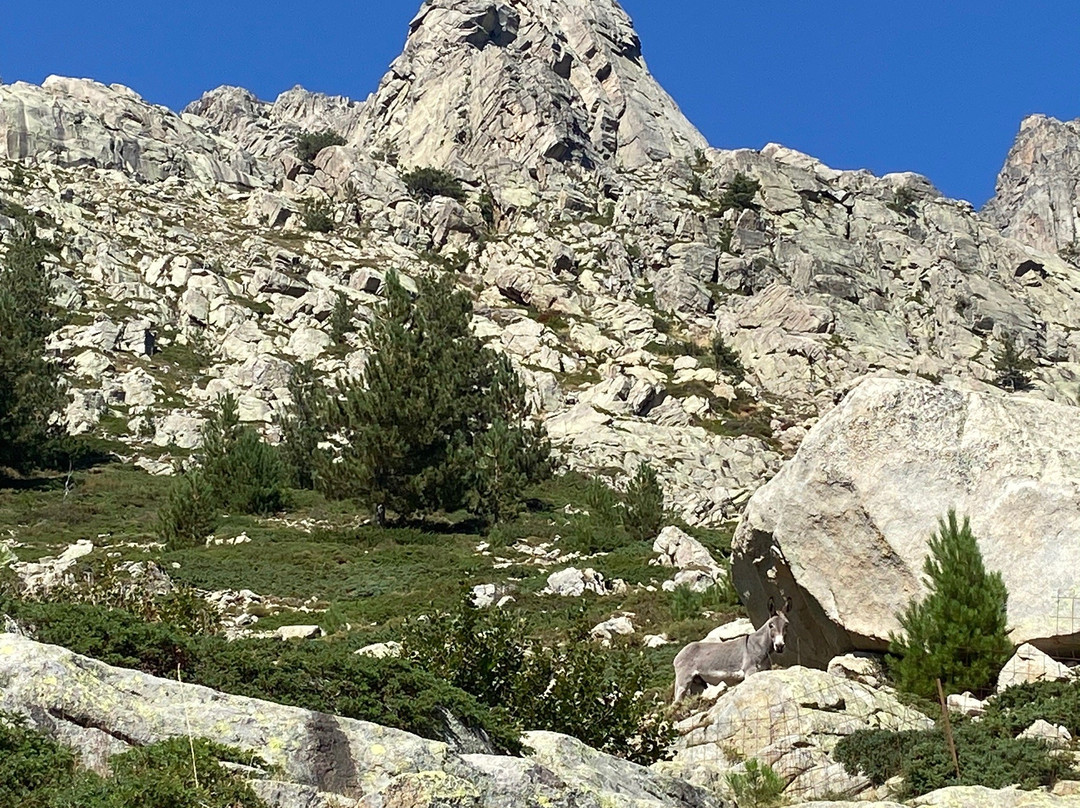 Restonica Trail-Corte必去景点