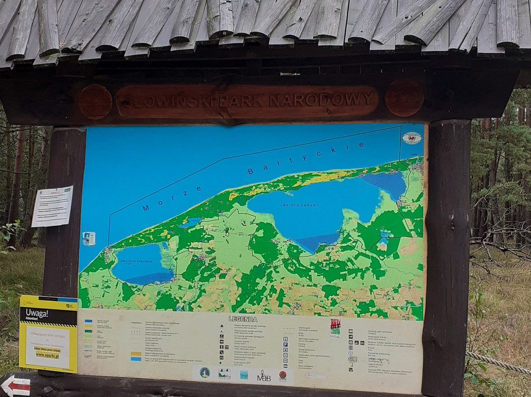 Czappińska Dune景点图片