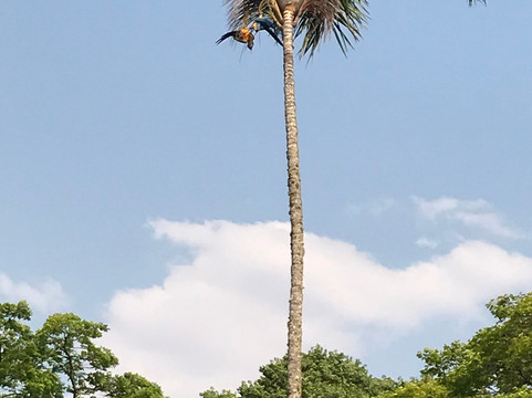 Balneario Rio Verde-Campo Novo Do Parecis必去景点