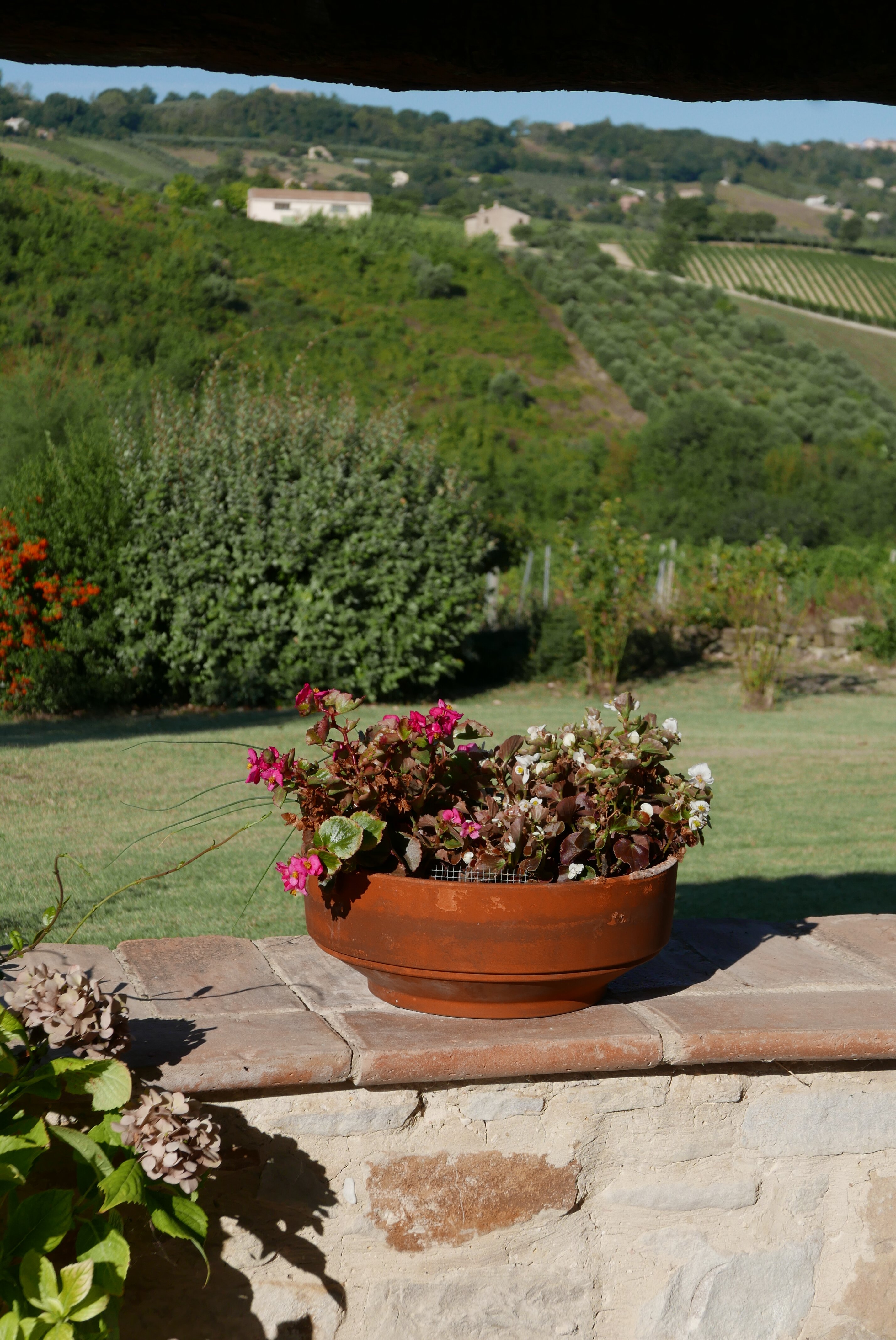 B&B Cascinale La Mimosa-官方