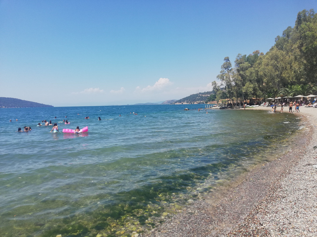 Amfilochia Port-Amfilochia必去景点