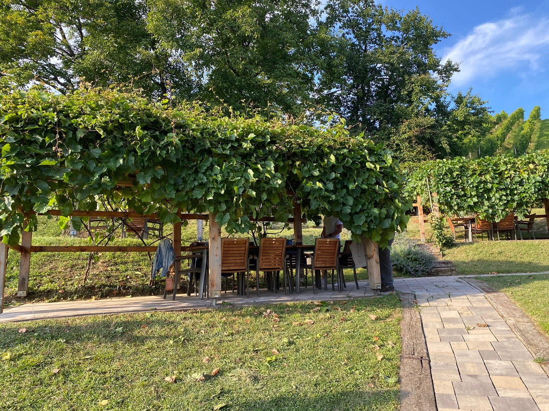 Vino Valdhuber-Zgornja Kungota必去景点