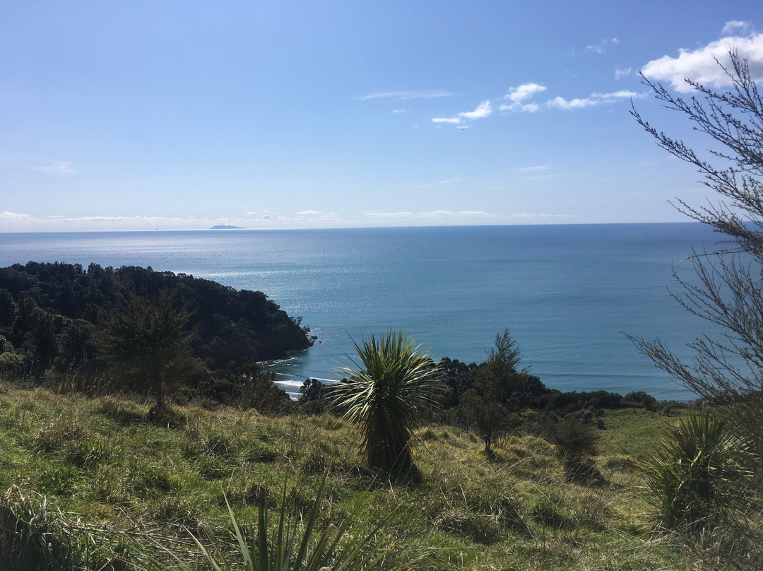 Ohope Beach景点图片