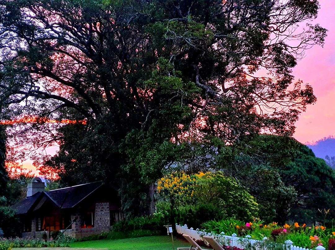 斯塔福德别墅酒店主图