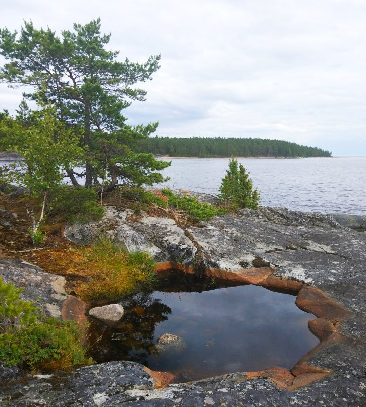 Koionsaari Island景点图片