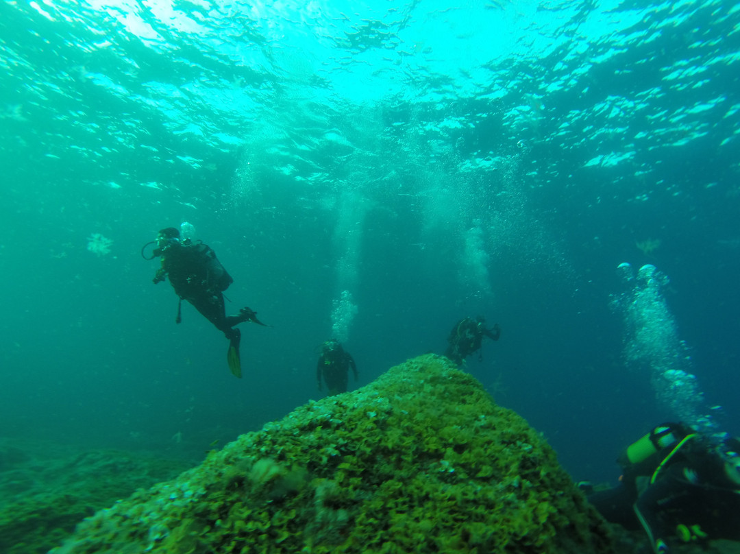 Buceo La Restinga景点图片